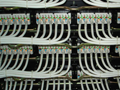 W(wng)j(lu)ڼͥxúmľW(wng)